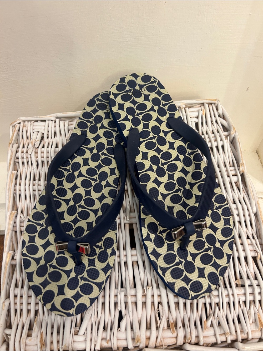 Coach Amel Flip Flops in Navy